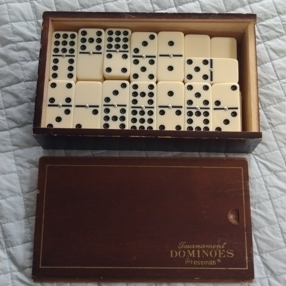 Tournament Dominoes Set -